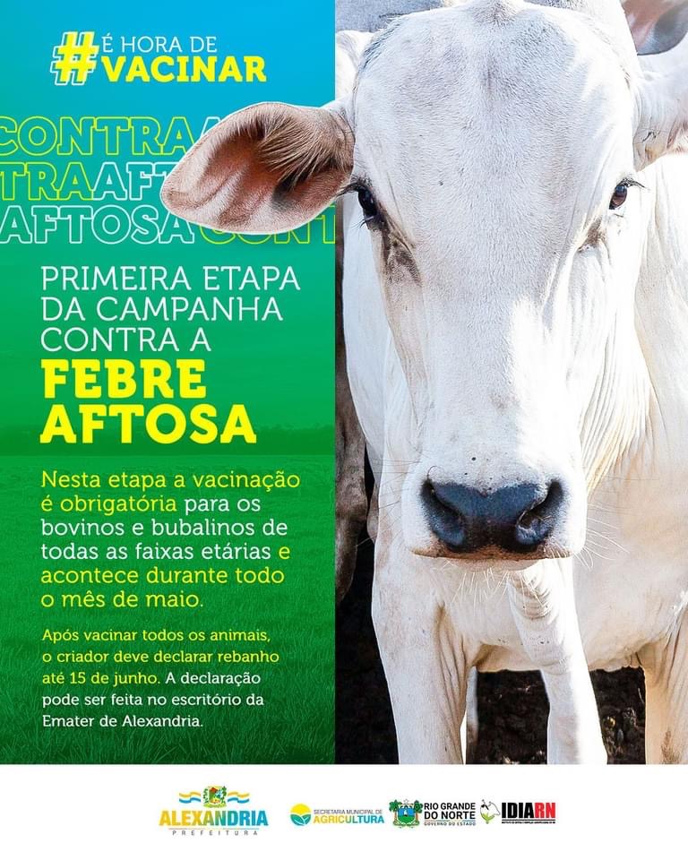 Read more about the article Vacinação contra febre Aftosa.